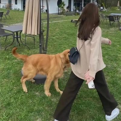 明星伙伴 第二季